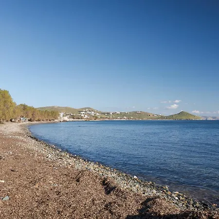 Seashore